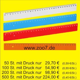 Lineal 30cm.jpg